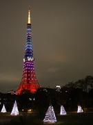 東京タワー、新ライトアップ「ダイヤモンドヴェール」開始