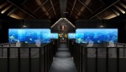 麻布十番にアクアリウムダイニング－店内の水槽に熱帯魚計1万匹