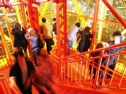 東京タワーで期間限定「夜の外階段」－バレンタインで特別開放