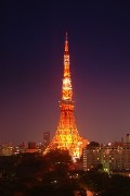 東京タワーで2日間限定「夜の外階段」－ホワイトデーで特別開放
