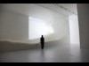 森美術館で「ネイチャー・センス展」－巨大インスタレーションで自然観表現
