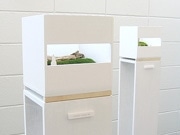 東海の若手作家、苔や貝殻などを使った小さな世界のボックスアート
