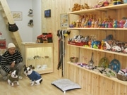大須にドッググッズのセレクト店－看板犬はフレンチブルドッグ