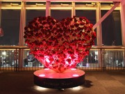 「恋人の聖地」名古屋テレビ塔にバラの花1,000本－ホワイトデー彩る