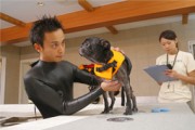 札幌・琴似「コルテナ1」にドックサロン－水を使ったハイドロセラピー設備も
