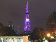 さっぽろテレビ塔、ピンク色にライトアップ－ピンクリボン活動の一環で