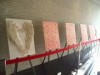 札幌で美術家・佐藤隆之さん個展－昆虫の「紙彫刻」中心に
