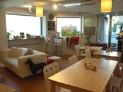 代官山に「犬＆猫」カフェ、ペットフードメーカーのアンテナ店