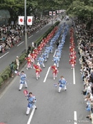 表参道で「スーパーよさこい」－全国から103組参加、芸競う