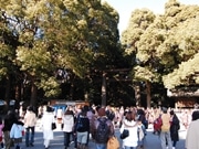 明治神宮に317万人が初詣で－30年連続で「日本一」に