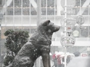 渋谷・ハチ公前でも「雪景色」－東京地方で未明から雪、積雪も
