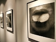 気鋭写真家・宮原夢画さんがフードクリエイションとコラボ－「味身」展