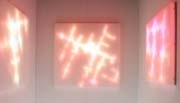 青山スパイラルに光の「染み」が出現－新鋭アーティストが新作展