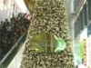 渋谷マークシティ・クリスマスツリー登場