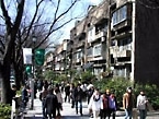 間近に迫る同潤会アパート取り壊し高い地元意識が支える「表参道」の未来形