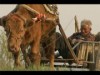 渋谷・神宮前で「世界自然・野生生物映像祭」－実録映像13本上映