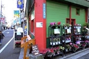 下北沢一番街商店街に生花店－週末は「フラワーバー」に