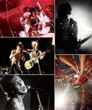 ロックバンドの音楽ライブ写真展－ザ・クロマニヨンズなど約100点