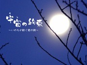 下北沢で上映「宇宙の約束」－監督・岩崎靖子さんとランチ懇親会も