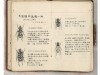 世田谷文学館（南烏山1）の「地上最大の手塚治虫展」で公開されている「昆虫手帳」　&copy;手塚プロダクション