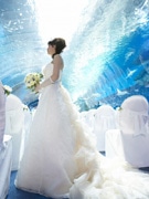 20種類の魚たちが祝福－品川プリンスホテルで水族館結婚式
