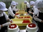 天王洲にケーキショップ「ハーブス」の新工場－同グループ工場で最大