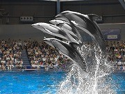 品川アクアスタジアムで「雨の日ながぐつ割引」－晴れても長靴で半額に