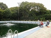 品川区の屋外プール、オフシーズン活用で釣り堀に－金魚やヘラブナも