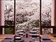 高輪のプリンス系3ホテルで「桜まつり」－「ママ友」用花見プランも