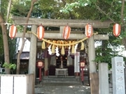 日比谷神社、移転を前に「最後の」神輿－夜の新橋を練り歩き