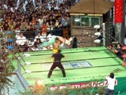 汐留の日テレ本社広場で「街頭プロレス」、観客は1,000人越