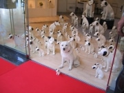 ビクターショールームがリニューアル－シンボル犬「ニッパー」グッズ発売
