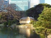 浜離宮恩賜庭園「松の御茶屋」、難工事終え完成－内部見学も検討へ