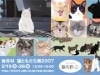 「猫の日」に合わせたイラスト展－お茶席やトークイベントも