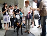 イラストライター、ヨシダプロさんが愛犬連れでトーク「犬っていいとも」