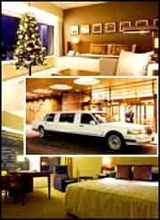 京王プラザホテルのクリスマスプラン－リムジンで都内観光も