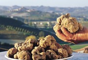 伊勢丹新宿店で「イタリア展」－白トリュフや3層カフェ、タヤリンも