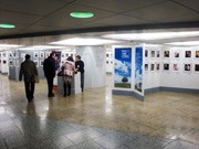 新宿駅西口広場で「明るい遺影写真展」－生前遺影490点ズラリ