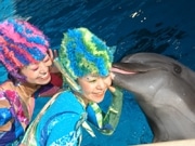 人とイルカのコラボショー「ドルフェリア」再演－新江ノ島水族館