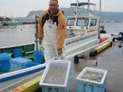 湘南の春の風物詩、「シラス漁解禁」で地元網元が出漁－今年も豊漁を期待