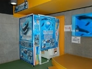 新江ノ島水族館オリジナルプリクラ、新デザイン導入で16種類に