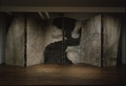 近代美術館で「岡村桂三郎展」－日経日本画大賞受賞作も展示