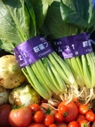地元NPOが「地産地消」の野菜宅配サービス－「おいしい湘南プロジェクト」の一環で