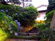 湘南の老舗旅館「茅ヶ崎館」で活弁シネマライブ－「湘南会席」ランチも