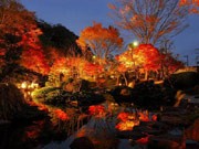 大磯城山公園で200本超の紅葉ライトアップ－邦楽鑑賞会も