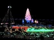 辻堂海浜公園でクリスマスイルミネーション点灯－模擬店やライブも