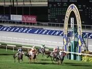 国際G1レース「SIAカップ」－コスモバルクが3年連続出走へ