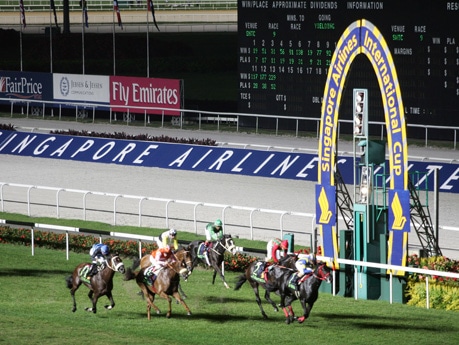 国際G1レース「SIAカップ」－コスモバルクが3年連続出走へ