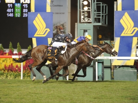 国際G1「シンガポール航空国際カップ」－日本馬・タスカータソルテ5着に