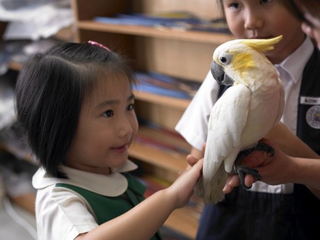 バードパークでファミリーイベント－ペンギン館で1泊2日の家族キャンプも